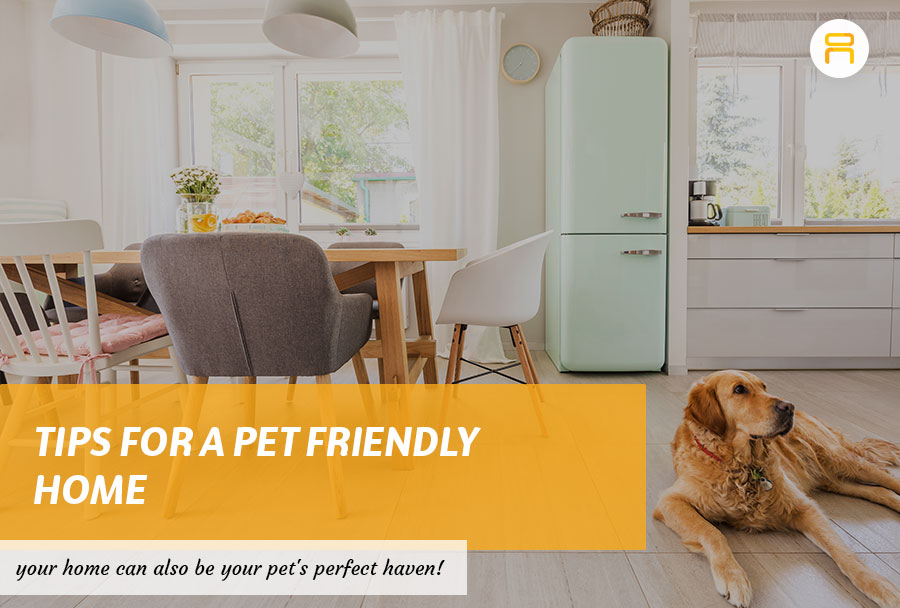 pet friendly home tips