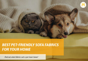 pet-friendly sofa
