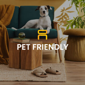 Pet Friendly Furniture